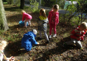 Dzieci rozproszone po parku spacerują z pochyloną głową i szukają kasztanów. W tle młode drzewa.